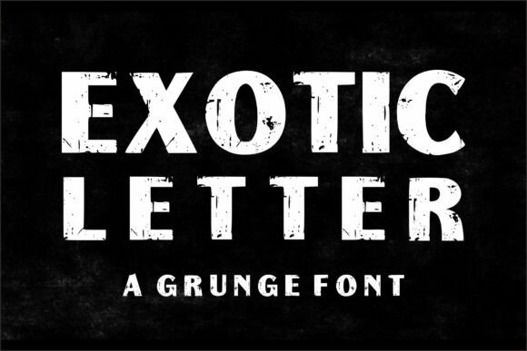 Exotic Letter: A Bold Display Typeface for Modern Web Design